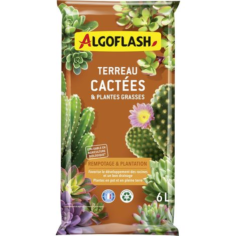 Terreau Cactées et Succulentes, 6 L (1/4)