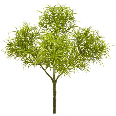 EDG Enzo De Gasperi Tillandsia Bell Pick H30 C0 Green