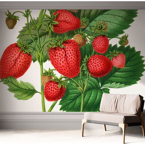 Fotomurale adesivo - Carta da parati adesiva - per la cucina camera da letto per la soggiorno - Frutta estiva 312x219 cm (1/5)