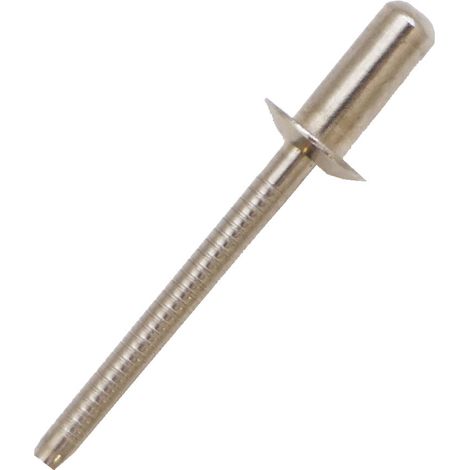 Rivet Acier InoxydableA2 304 Gris longueur 16mm diamètre 4.8mm ( Prix pour Sachet de 100 )
