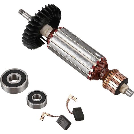 Ancrage d'induit 220-240 V CA - Remplacement du rotor du moteur (1/5)