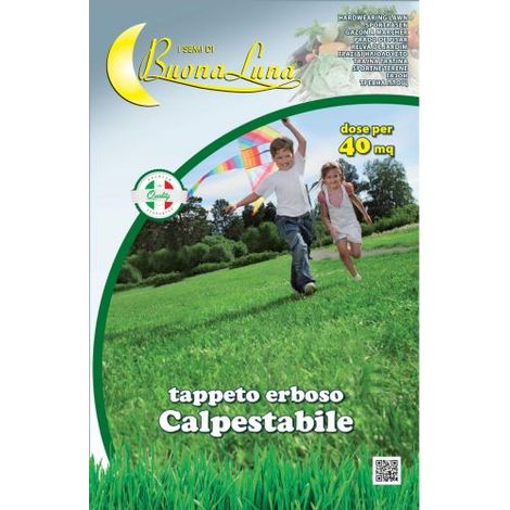 SEMI PRATO CALPESTABILE 1 KG