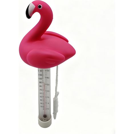 Thermometre Piscine - Flottant - Rose - Lecture Directe En Celsius - Résistant UV Et Eau - Pour Bassin Extérieur - 1 Pièce (1/5)