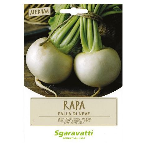 SEMI PER ORTAGGI E VEGETALI rapa palla di neve