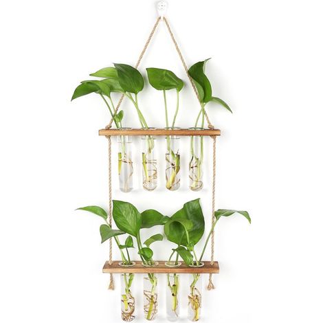 Station de Propagation avec Support en Bois Vase Mural,Verre Suspendu pour Plantes Hydroponiques (1/4)