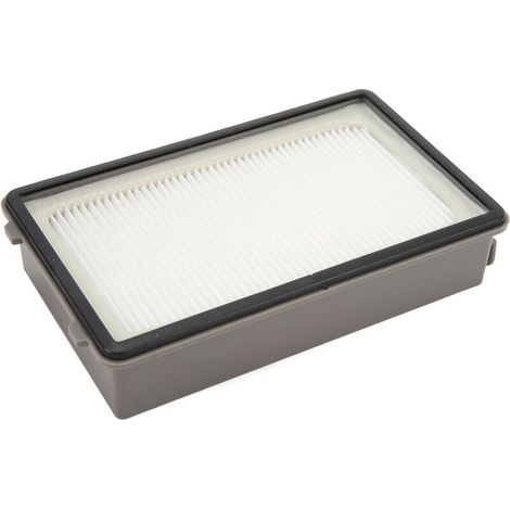 Filtres de rechange haute efficacité pour aspirateurs RO4811EA, RO4871EA et RO4855EA-AquaForge (1/5)