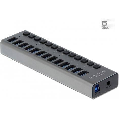 Delock Concentrador externo SuperSpeed USB con 13 puertos + interruptor