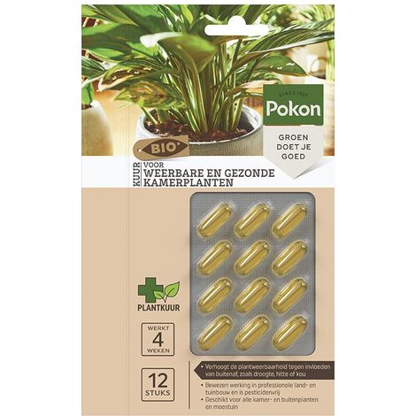 Cure Bio pour Plantes d'Intérieur Saines et Résistantes - 12 Capsules Naturelles - PANGIVO