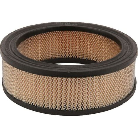 Filtro de aire DONALDSON P528231