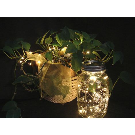 Vorteilspack: Einmachglas oder Bastellichterkette mit austauschbaren Batterien. Sie wählen die Menge. 10 LED/Kabel, warmweiße Lichter. (CRFW20) (1/5)