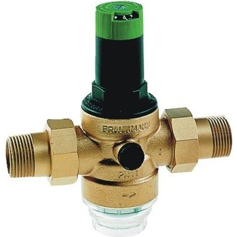 Nemo Go d06f reducteur de pression avec reglage 1/2ff laiton (1/4)