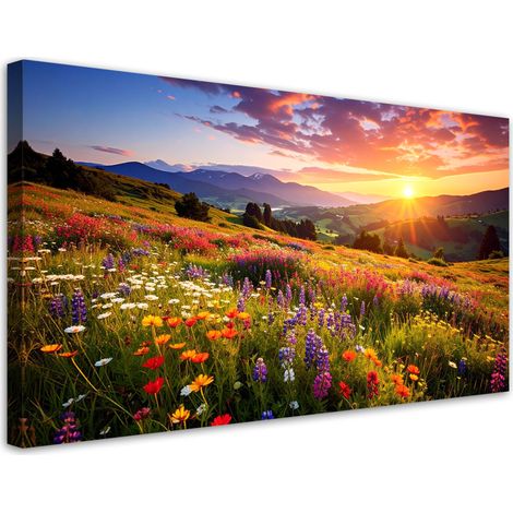 Cuadro sobre Lienzo, Pradera con flores silvestres paisaje de montaña, 80x40 (1/5)