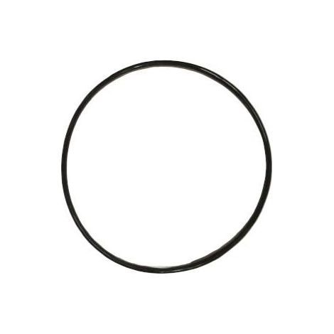 BESTWAY - P05440 - Guarnizione valvola selettrice per P6536/P61140/P61962/P03822 (1/2)