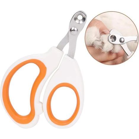 BUNTHAUS PA Coupe-griffes pour chat à trous ronds : évitez de trop couper les griffes de votre animal. Coupe-griffes (orange) idéal pour les nouveaux propriétaires d'animaux. (1/4)