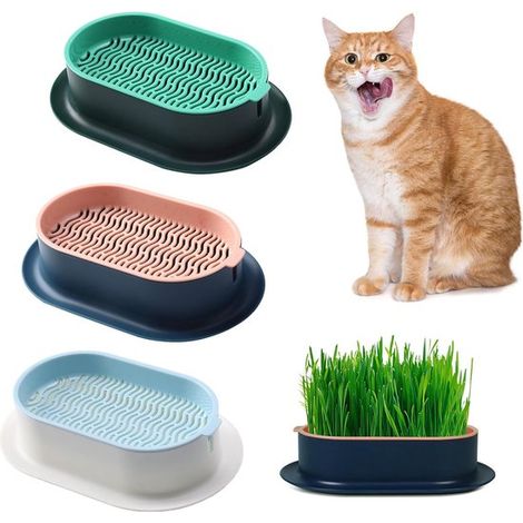 3-teiliger Katzengras-Pflanzkasten，hydroponische Katzengrasbox，Katzengrasbehälter
