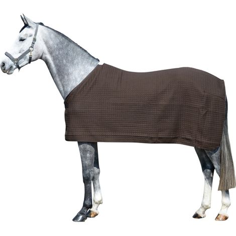EQuest Pferdedecke Climatherm III, Regular - Mocha, XXL 165 cm