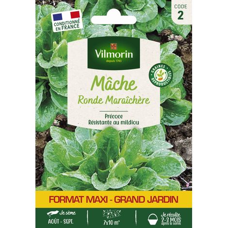 Vilmorin - Mâche Maraichère - Format Economique (1/2)