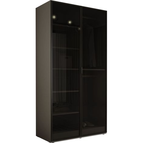 Armadio: Grigio Platino / Vetro Antisol, 100 x 200 x 51 cm (1/5)