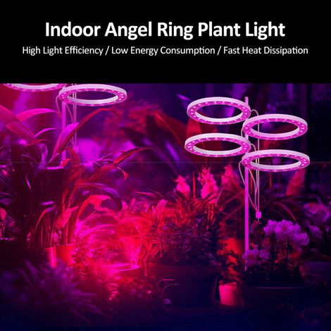 Lampe de croissance LED à spectre complet pour plantes, avec 20 LED, minuterie 8h/12h/16h, 5 niveaux de luminosité, hauteur réglable, port USB, anneau lumineux pour plantes succulentes. (1/5)
