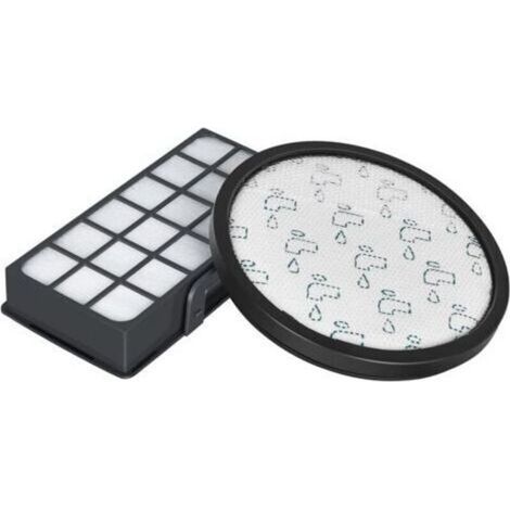 HEPA-Filterset für Rowenta X-Trem Power Cyclonic Staubsauger RO6984EA, RO6941EA, RO6963EA, RO6921EA, RO6971EA, RO6993EA (Modell RO69XX), Ersatzfilterzubehör ZR006001 (1/5)