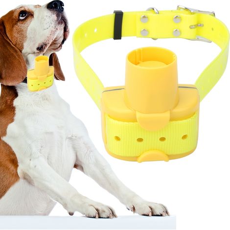 Collier de dressage électrique étanche pour chien, avec télécommande magnétique et 8 tonalités.