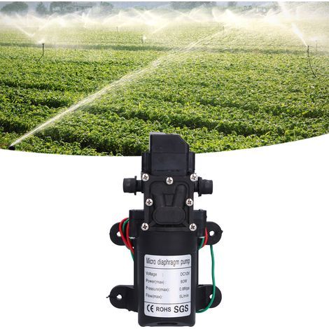 Pompe à diaphragme 12V 60W pour irrigation jardin, piscine et système de pulvérisation haute pression autonome (1/5)