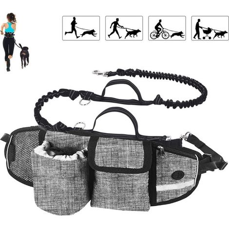 Laisse pour chien Mains libres Laisse pour chien Absorption des chocs Confort Coutures réfléchissantes Idéal pour la course à pied Jogging et la marche Gris cassé (1/4)