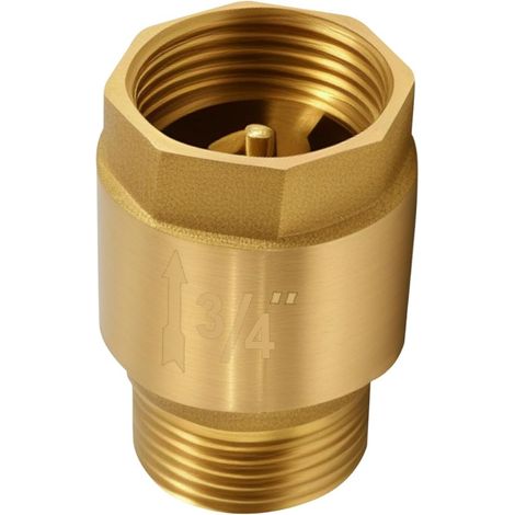 3/4 Inch Brass Check Valve 3/4 Inch AG to IG Non-Return Valve with Internal (1/5)