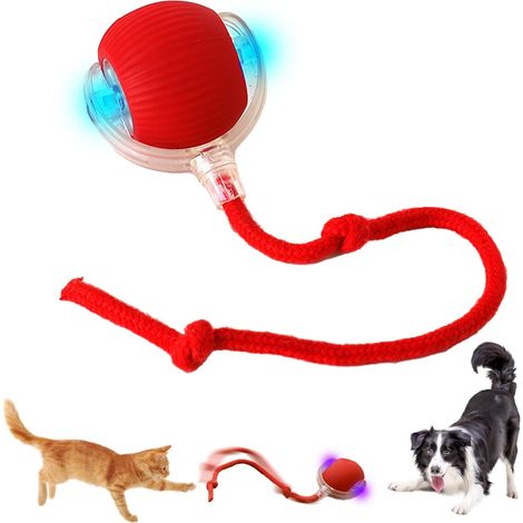 Balle interactive pour chat, balle interactive pour chien, jouet électrique automatique pour chat, jouet balle pour chat, balle roulante automatique pour chat et chien (B) (1/5)