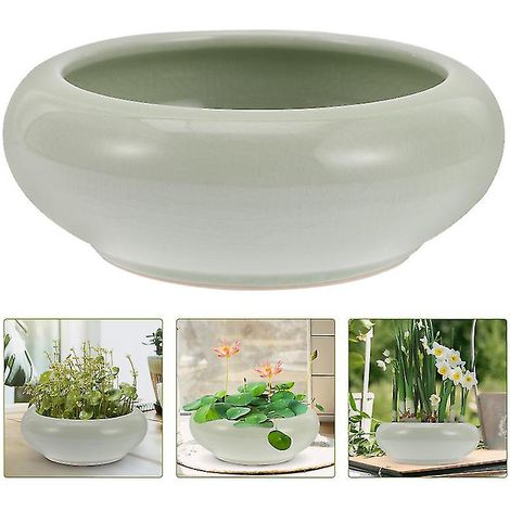Nouveau pot pour fleurs succulentes (1 pièce)