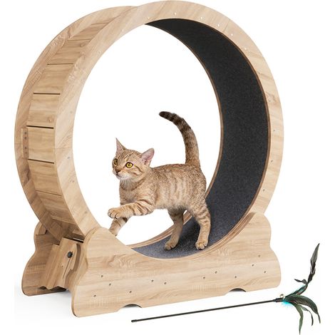 Roue d'exercice pour Chat 90L x 36P x 97H cm,  Faible Bruit, Jouet Inclus, Tapis Amovible, Adapté à la plupart des chats, pour Courir/Marcher/Entraînement, aspect Bois Naturel, Mondeer
