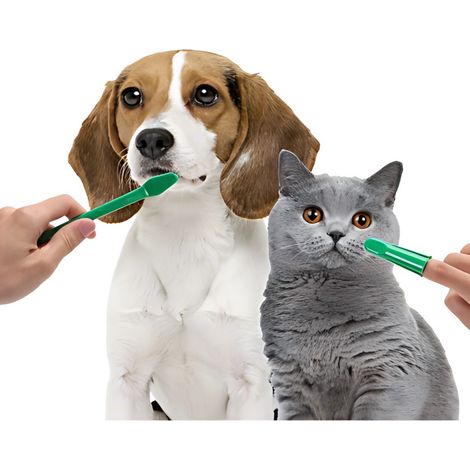 Kit de Dentifrice pour Animal de Compagnie avec Brosse Douce Anti-Irritation pour Chiens et Chats