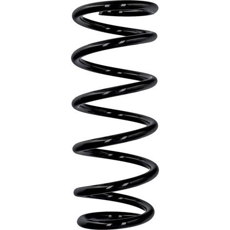 Ressort de suspension arrière Eibach ERL Nissan R10822 (1/2)