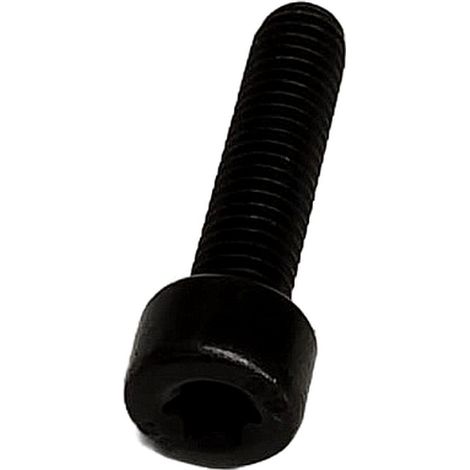 Tornillo compatible con M5X20  Ref 502487