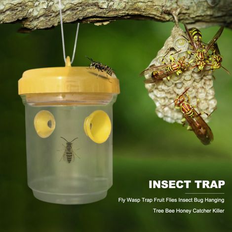 Wiederverwendbare Wespenfalle – Fliegen- und Hornissenfänger, Insektenvernichter für Garten und Haus (1/5)