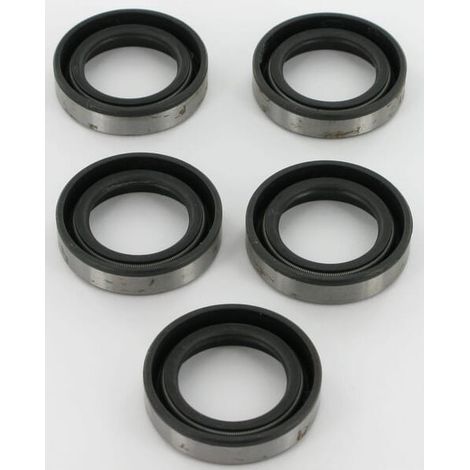 Sellos de spinnaker Briggs and Stratton - 4118