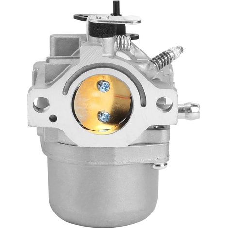 Carburateur Accessoires de Jardin de Remplacement de carburateur adaptés pour Briggs Stratton 799728 498027 12 HP 12.5 HP (1/5)