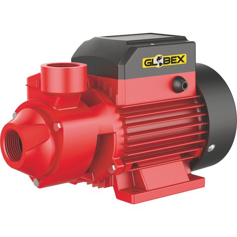 Globex ELETTROPOMPA DI SUPERFICIE GX 370 PP 370 W Hp 0,5