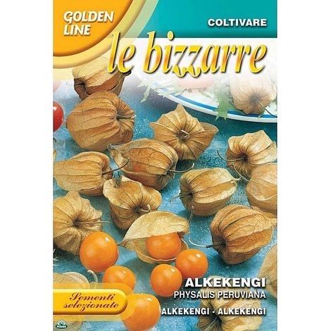 BUSTINA CON SEMI DI PHYSALIS ALKEKENGI (1/2)