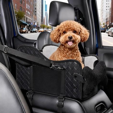 Hundeautositz – Tragbares Hundebett für unterwegs – Sicher reisen – Verstärkte Seitenwände – 41,5 x 26,5 x 6,5 cm (1/5)