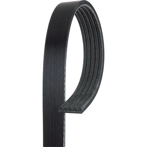 Courroie trapézoïdale à nervures Gates 5PK1510 INFINITI 002 993 11 96 117205DD0A
