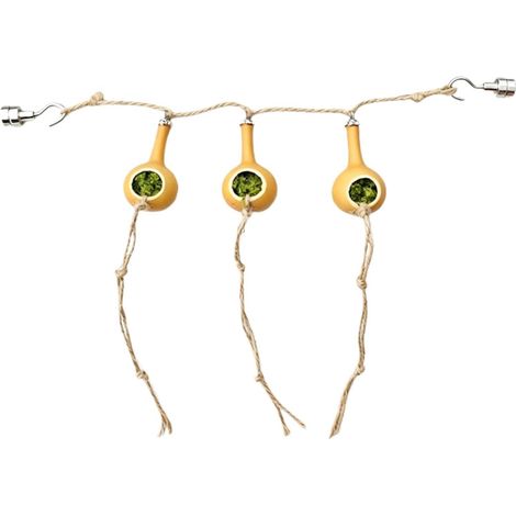 Abri pour araignée sautante, décoration de vigne artificielle, habitat (1/5)