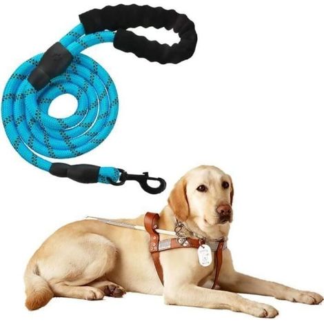 5FT Laisse de Chien Forte avec Poignée Confortable pour Chiens Moyens et Bleu (1/4)