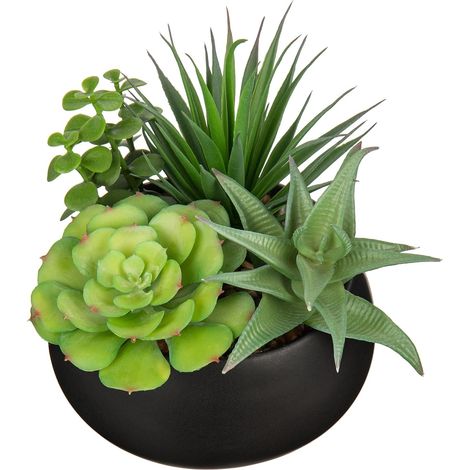 Plantes artificielles petites plantes grasses artificielles dans un pot en céramique avec pot noir pour décoration de la maison (1/5)