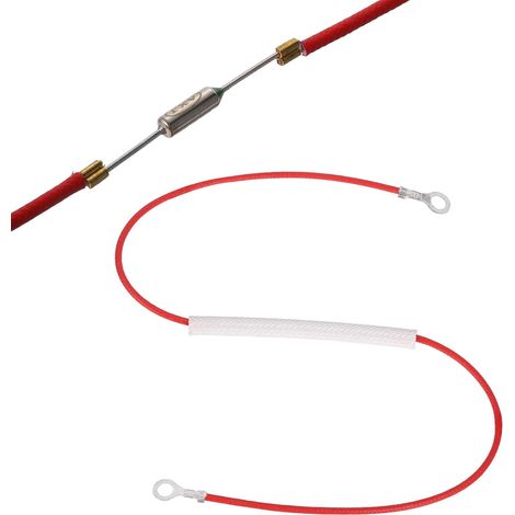 Fusible Thermique Universel Pour Cuiseur À Riz, 216°C 10A 250V Fusible Thermique Métallique Avec Bornes À Anneaux Aux Deux Extrémités Et Gainage En Fibre De Verre Pour Pièce (1/5)