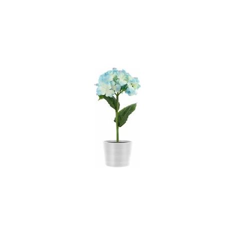 EASYCOMFORT Lampes de Jardin Solaires LED - Pots de Fleurs à Énergie Solaire, Lumières Décoratives Multicolores (1/5)