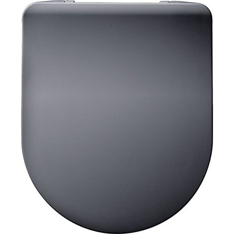 Abattant AMIRAL extra plat thermodur - Gris - Wirquin Pro (1/5)