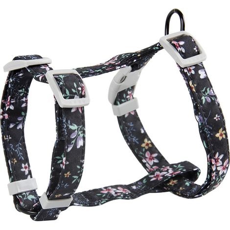 Harnais Chat Réglable Harnais Laisse (145cm Noir M) pour Chat Petit Chien en Nylon avec Laisse Résistant à la Sécurité Harnais Veste pour Chiot Chaton des Petits Animaux de Compagnie 1 pièce Oi-FRIS (1/3)