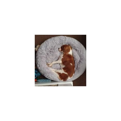 Chenille de chien amovible et lavable, nid pour chat amovible, en forme ronde, à poils longs (1/4)