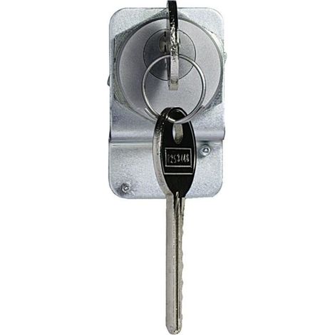 Bticino Cofrel 003748 CANON PTT T25